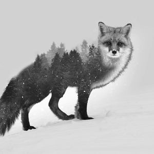 Meet your Posher, Vonda